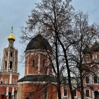 Еще один ракурс :: Натали 