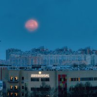 Про Питер :: Владимир Колесников