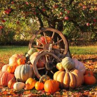 натюрморт :: МАРИЯ ПОПОВА