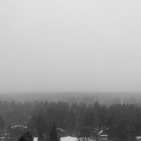 Метель :: Mariya Zazerkalnaya