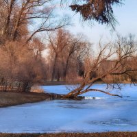 Весенние зарисовки в парке Победы. :: Лилия *
