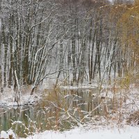 Возвращение зимы (апрель 2025) :: Евгений Седов