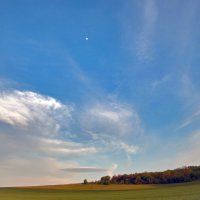 НЛО ) :: Всеволод НЛО ) :: Всеволод