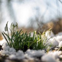 Уже :: sorovey Sol