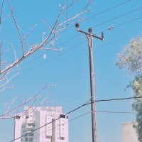 14  КЛОС (111) :: CLOSE WAYS ALL