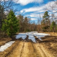 Теплый апрель 5 :: Андрей Дворников