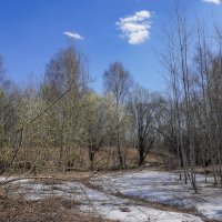 Палитра апреля... :: Владимир Жданов