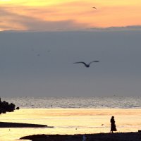 Перед ненастьем :: Валерий 