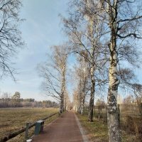 Ботанический сад. Алматы. :: Murat Bukaev 