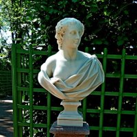 ЛЕТНИЙ САД. :: Виктор Осипчук