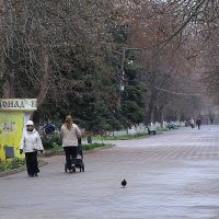 В парке :: Юрий Гайворонскiий