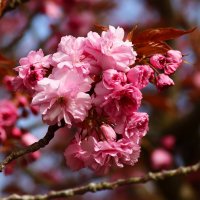 Доброе утро :: Юрий. Шмаков