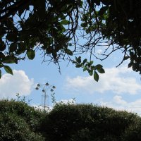 зарисовка в большом городе :: Елена Шаламова