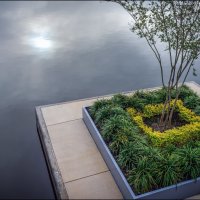 Утро :: **** vedin