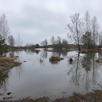 Река Молокча :: Денис Бочкарёв