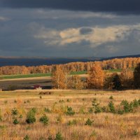 Золотая осень :: Владимир Гришин