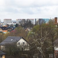 Зеленеют окрестности. :: Петр Беляков