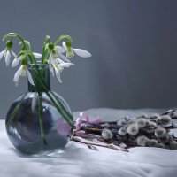 Подснежники к Пасхе :: Ирина Баскакова Подснежники к Пасхе :: Ирина Баскакова