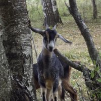 Привет! :: Freddy 97