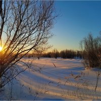 лоскутик :: Александр Лебедев