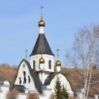 Храм Свято-Успенского монастыря в Вербное воскресенье :: Светлана Грызлова