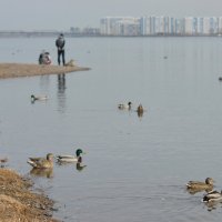 Берег Енисея в апреле :: Светлана Грызлова