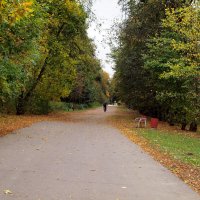 Кузьминский парк :: Игорь Белоногов