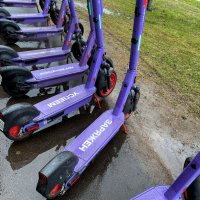 Все, что раздражает в других, может вести к пониманию себя. :: Таня Фиалка