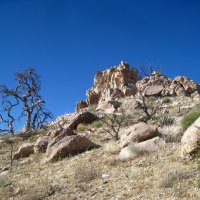 В Национальном заповеднике Мохаве, Калифорния, США. :: unix (Илья Утропов)