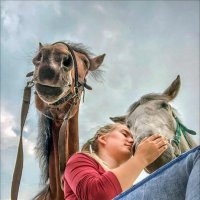 КАТАЛЫ :: Александр Кустов