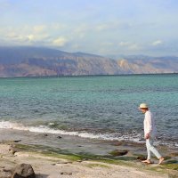 Прогулки по отливу :: Галина Ильясова