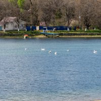 Городское водохранилище :: Игорь Сикорский