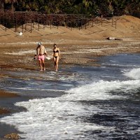 Прогулка :: Юрий. Шмаков