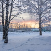 На рассвете. :: Андрей Дурапов