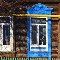 Оконное ассорти. :: Михаил К