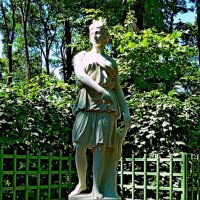 ЛЕТНИЙ САД. :: Виктор Осипчук