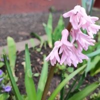 ,,, :: Сергей Тимоновский