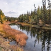 Тихое утро :: Марина Фомина.