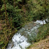 ОРЕХОВКА :: Tata Wolf