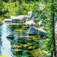 МАЛОУЛЬБИНСКОЕ ВОДОХРАНИЛИЩЕ :: HART BAD