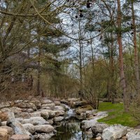 Наедине с природой :: Tarus 