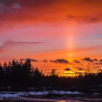 Солнечный столб на закате. Окрестности Ухты, Коми. :: Николай Зиновьев Солнечный столб на закате. Окрестности Ухты, Коми. :: Николай Зиновьев