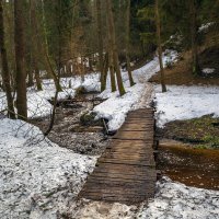 Мосток через ручей :: Сергей Цветков