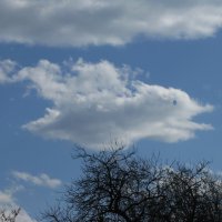 В полёте :: Людмила Смородинская В полёте :: Людмила Смородинская