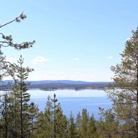 Весенние краски :: Ольга 