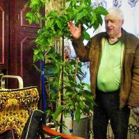 Утро...За окном минус 16 С.... :: Владимир 