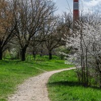 Апрель :: Игорь Сикорский Апрель :: Игорь Сикорский