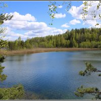 *** :: Aleksandr Gal