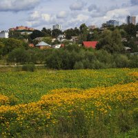 Старый  Серпухов :: Владимир Гришин
