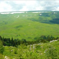 А снится нам трава, трава у дома! Зелёная, зелёная трава! :: Надежда 